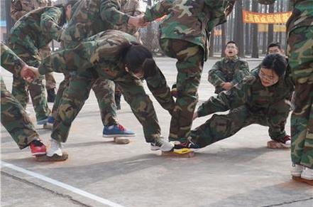 员工拓展训练心得体会500字