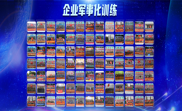 成功案例