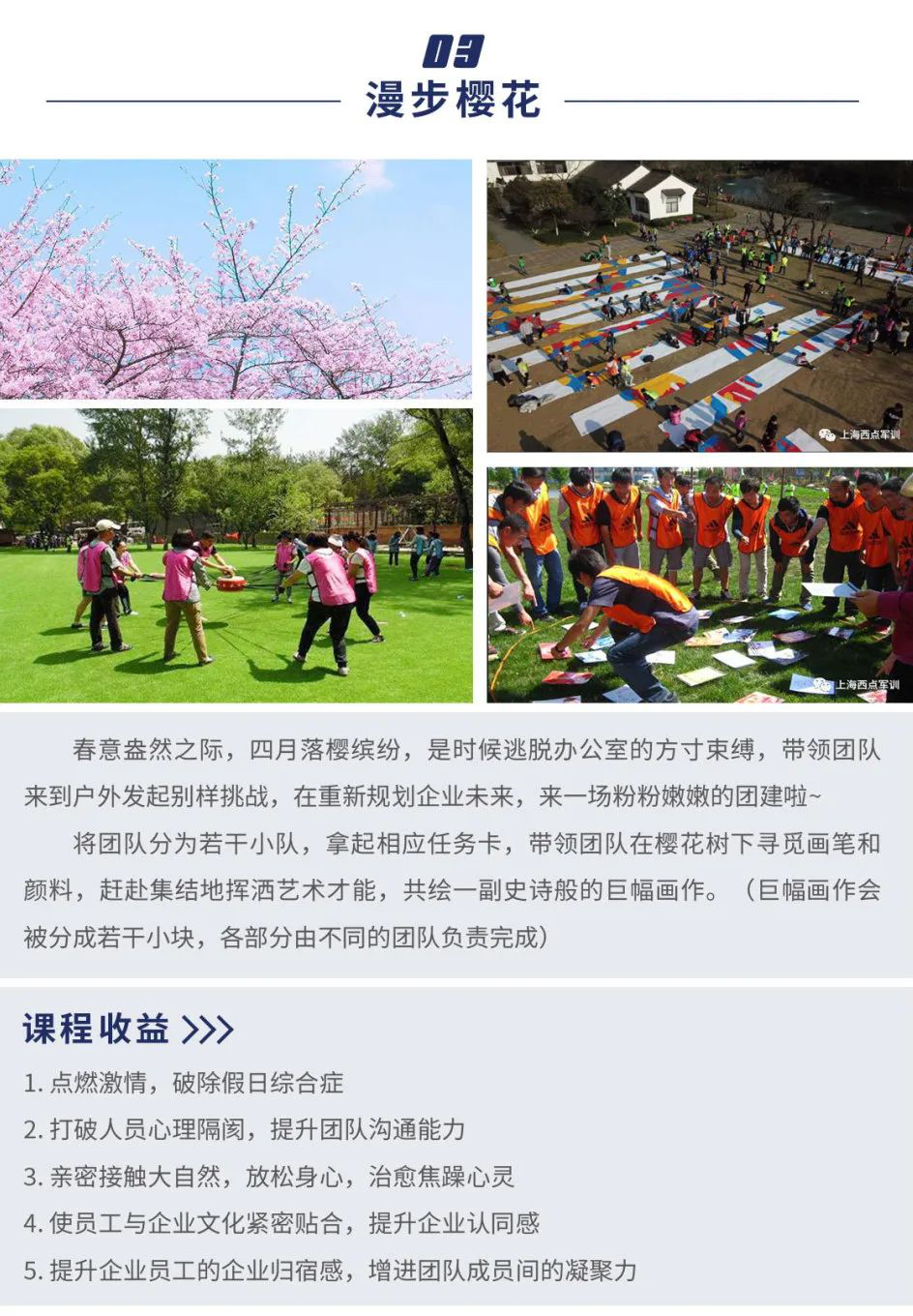 企业团建,踏青,企业踏青团建