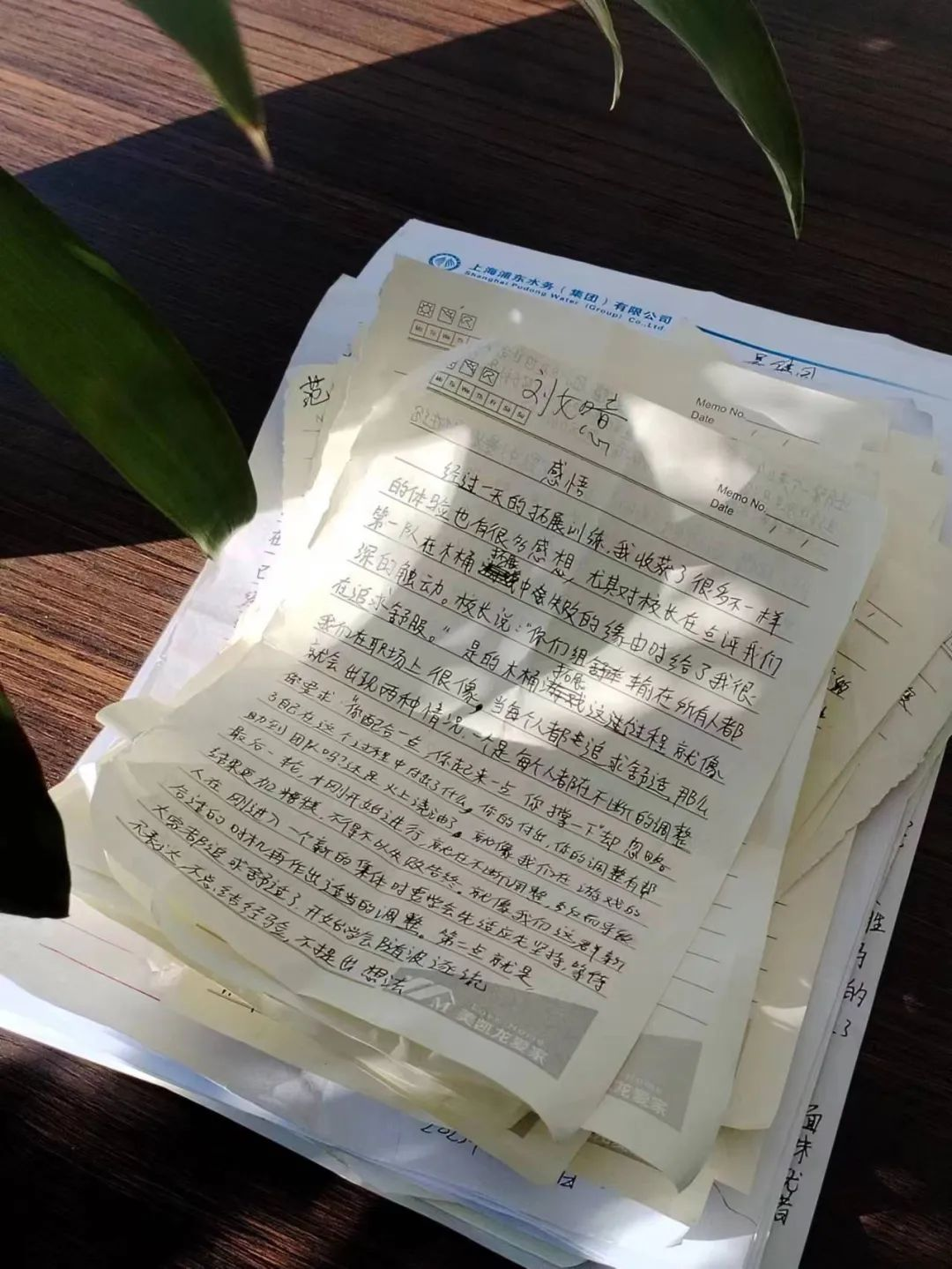 西点铁军涅槃集训 是什么让你热泪盈眶?,新员工军训,团建