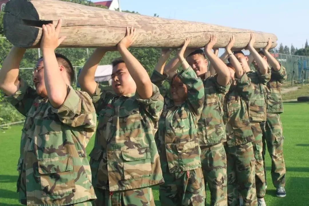 什么是真正的狼性文化，企业应如何打造狼性团队？